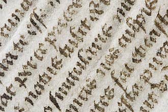 Old latin bible detail