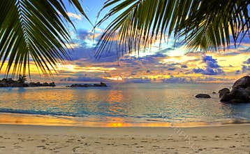Tropical beach at sunset