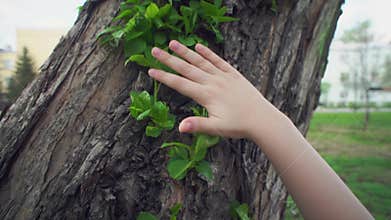 Child hand sliding against new green foliage
