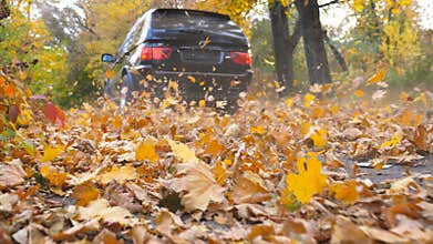 Black SUV driving fast along an empty road over yellow leaves at park. Colorful autumn foliage flies out from under