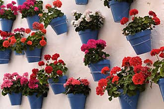 Andalucia Spain whitewashed village flower pot white wall display