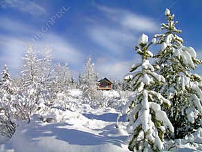 Winter Cabin