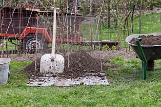 Working garden tools. Propped shovel against the sieve. Wheelbarrow full of earth. Bucket hidden in corner. Important utensils for