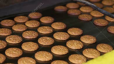 Fresh biscuits made in the factory