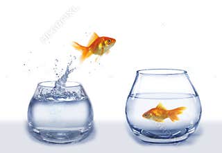 Jump to company
