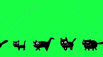 Walking cartoon black cats animation on green screen
