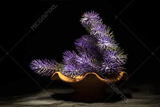 Violet flowers composition