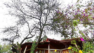 Morning Effects House Exterior