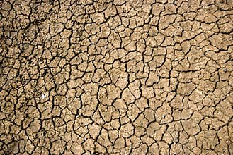 Dry cracked soil during drought