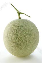 Honeydew melon