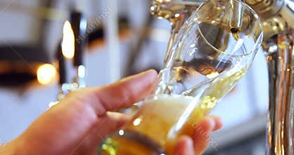 Brewer filling beer in beer glass from beer pump 4k