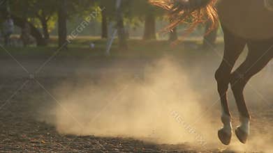 Person learning how to ride horseback at horse riding school, luxury hobby