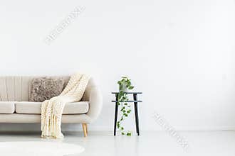 Living room with copy space