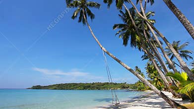 Swings and palm on the sand tropical beach.