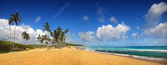 Tropical beach in Punta Cana, panoramic