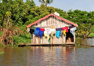 Amazon Jungle Typical Home
