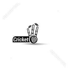 Vector cricket championship wicket
