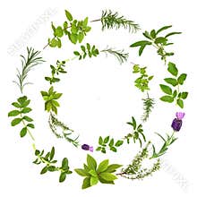 Herb Leaf Abstract Design