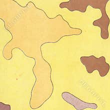 Vintage contour mapping. Natural printing illustrations of maps.