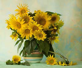 Sunflowers