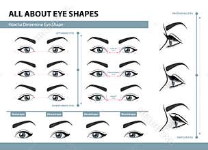 How to determine Eye Shape. Various types of female eyes. Set of vector illustrations with captions. Template for Makeup