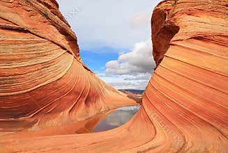 Arizona/Utah: Coyote Buttes - The WAVE after Rain