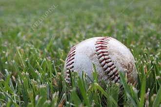 Closeup of used baseball on the grass