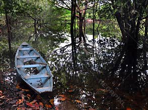 Canoe of Amazonia