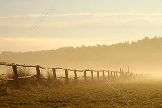Idyllic fence on a misty field at sunrise