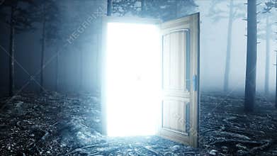 Glowing door in fog night forest. Light portal. Mistic and magic concept. Realistic 4k animation.