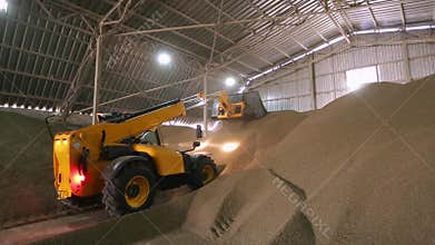 Huge storage facility of agricultural crops. Telescopic handler with ladle working at covered bulk stock. Telehandler