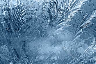 Frozen window-glass