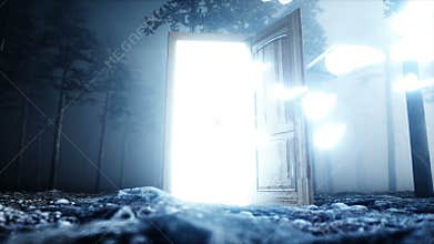 Glowing butterflies in fog night forest. Light portal door. Mistic and magic concept. Realistic 4k animation.