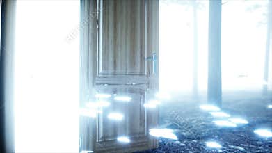 Glowing butterflies in fog night forest. Light portal door. Mistic and magic concept. Realistic 4k animation.