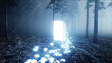 Glowing butterflies in fog night forest. Light portal door. Mistic and magic concept. Realistic 4k animation.