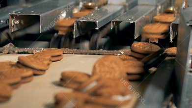 Biscuits move from an assembly line at a factory. 4K.