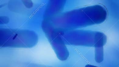 Blue bacteria motion background