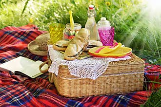 Summer picnic time
