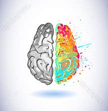 Creative part and logic brain part vector illustration element