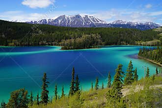 Emerald Lake, Yukon, Canada with mountains and forest on the background