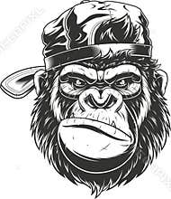 Gorilla head in a baseball cap