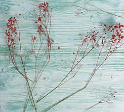 Dried flowers, wood background, mint color, still life