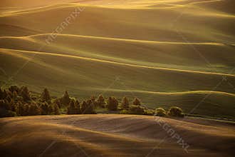 Sunrise over rolling country hills