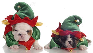 Santa's elf helpers