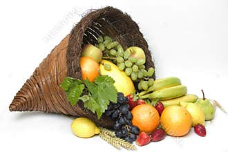 Fruit Cornucopia 4