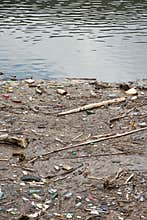 Ecological pollution of water bodies