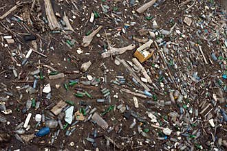 Ecological pollution of water bodies