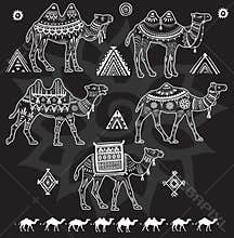 Set of stylized figures of Camels