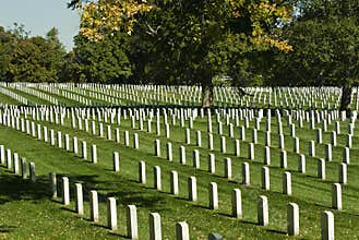 Arlington Cemetery