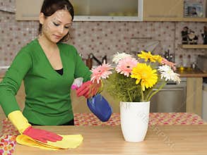 Cleaning the house